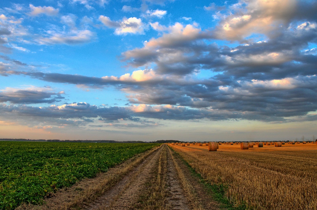 Seguro rural y agropecuario